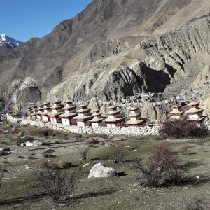 Manaslu, Nar Phu Valley Trek | Ancient Area Trekking in Nepal