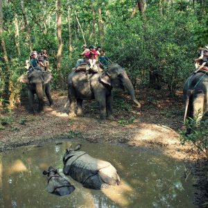 Top wildlife safari in Nepal / Protected area of Nepal