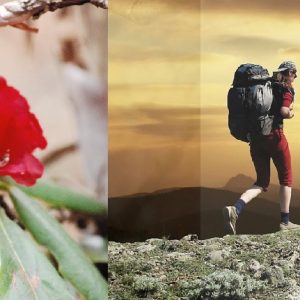 Best Season for Trekking | Time to go Trek