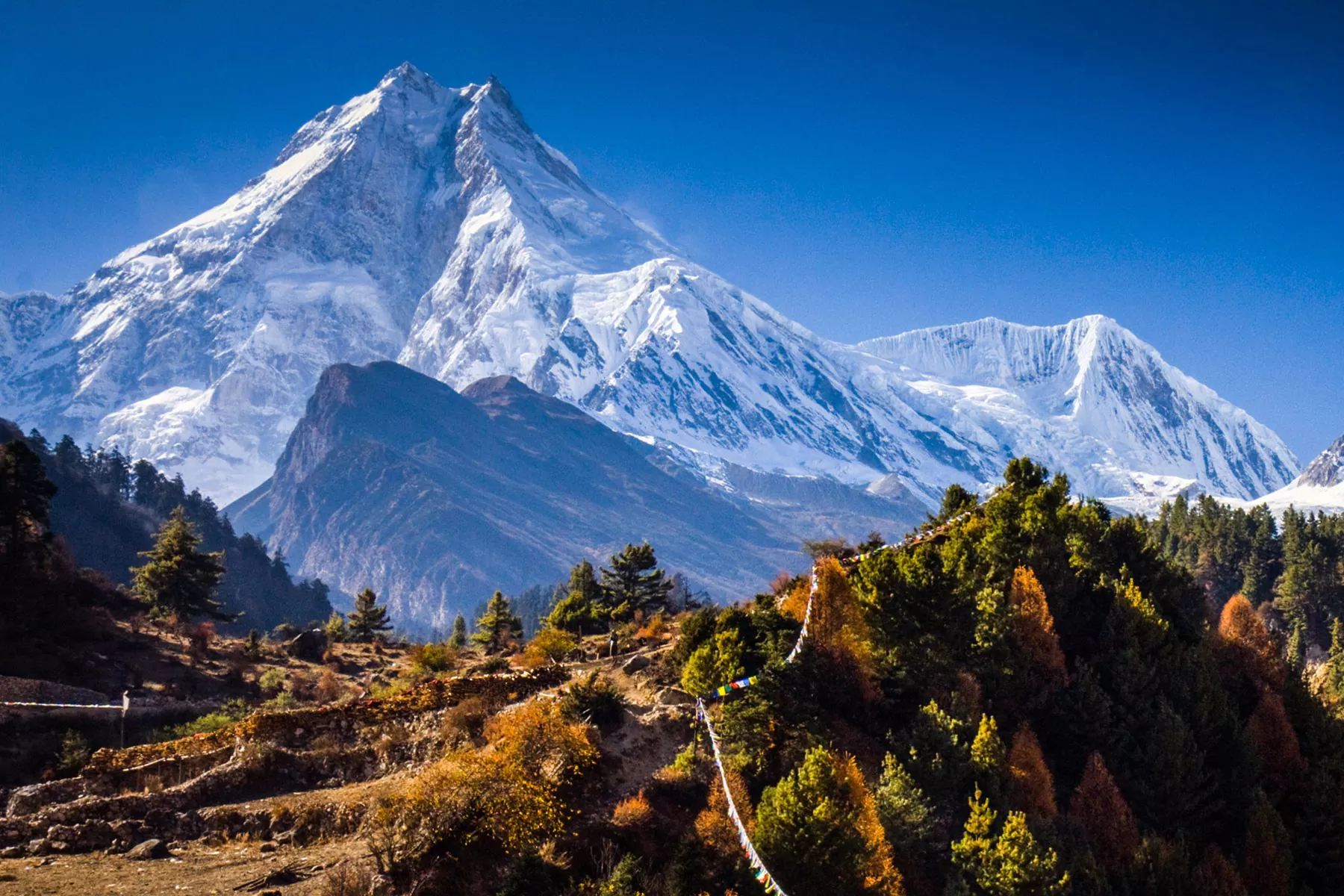 Manaslu and Tsum Valley Trek