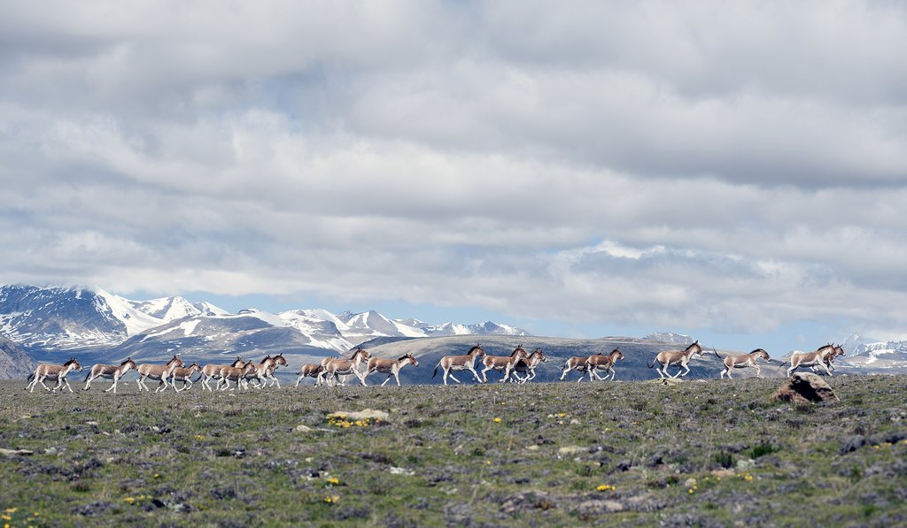 Limi Valley Trekking