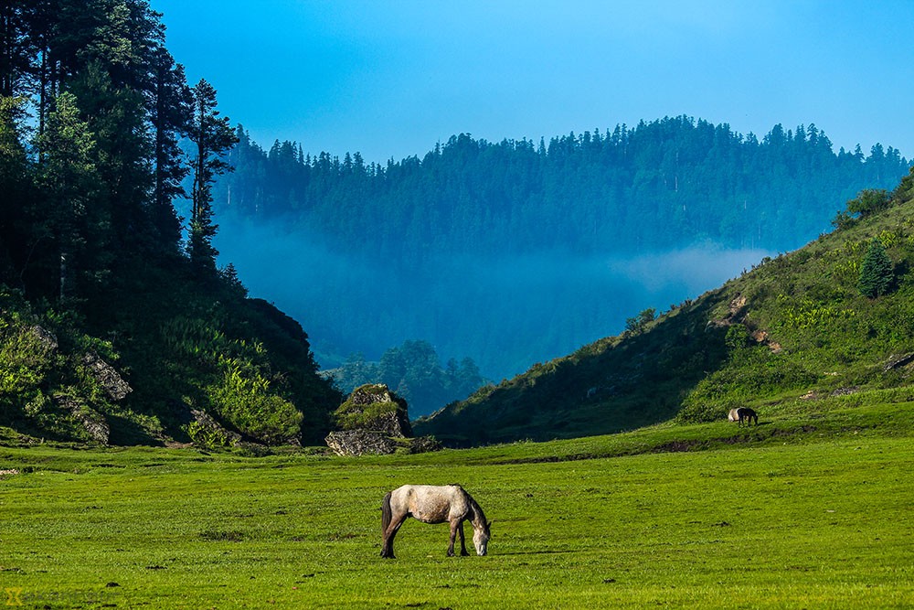 Khaptad Trek