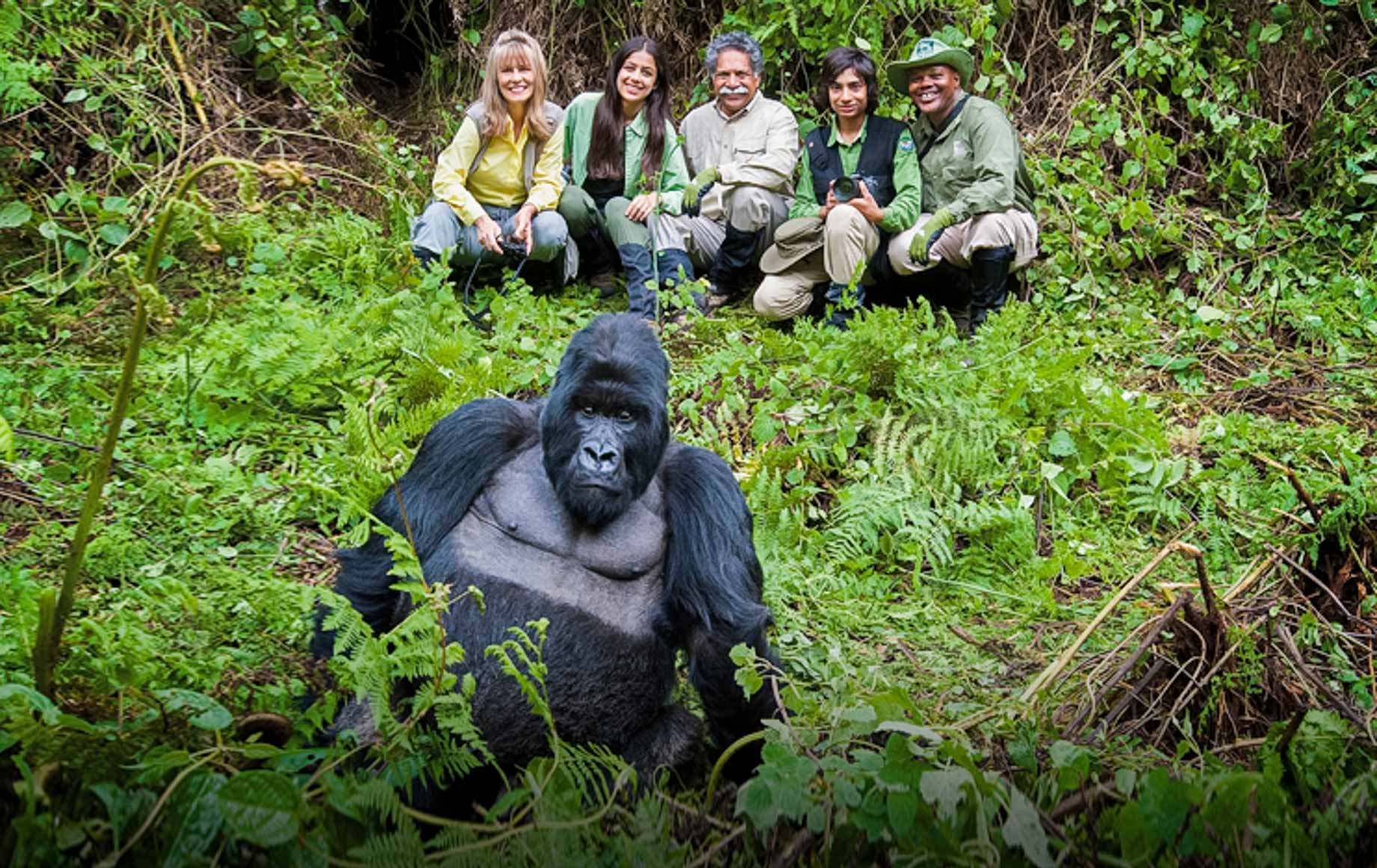 Guerilla Trekking